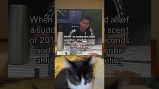 Nostalgia Hits Hard  throwback shorts