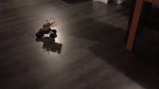 First step before building a self-driving RC Car.