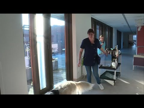 Rouen Revaloriser Le Metier D Aide Soignant Une Urgence Youtube