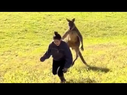 Funniest Fails Of The Year Compilation 😂