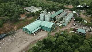 Planta Aldea Coffee Español 2026 2