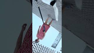 IMG 4868