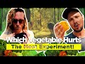 Which vegetable hurts the most experiment