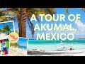 A Tour of Akumal, Mexico