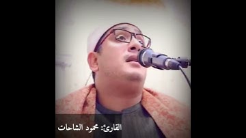 ابداع القارئ// محمود الشحات | في مقام(الكرد).