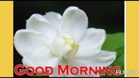 Std-2 English Revision video (3)