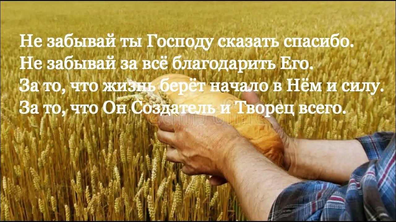 Трек спасибо господь что я такой