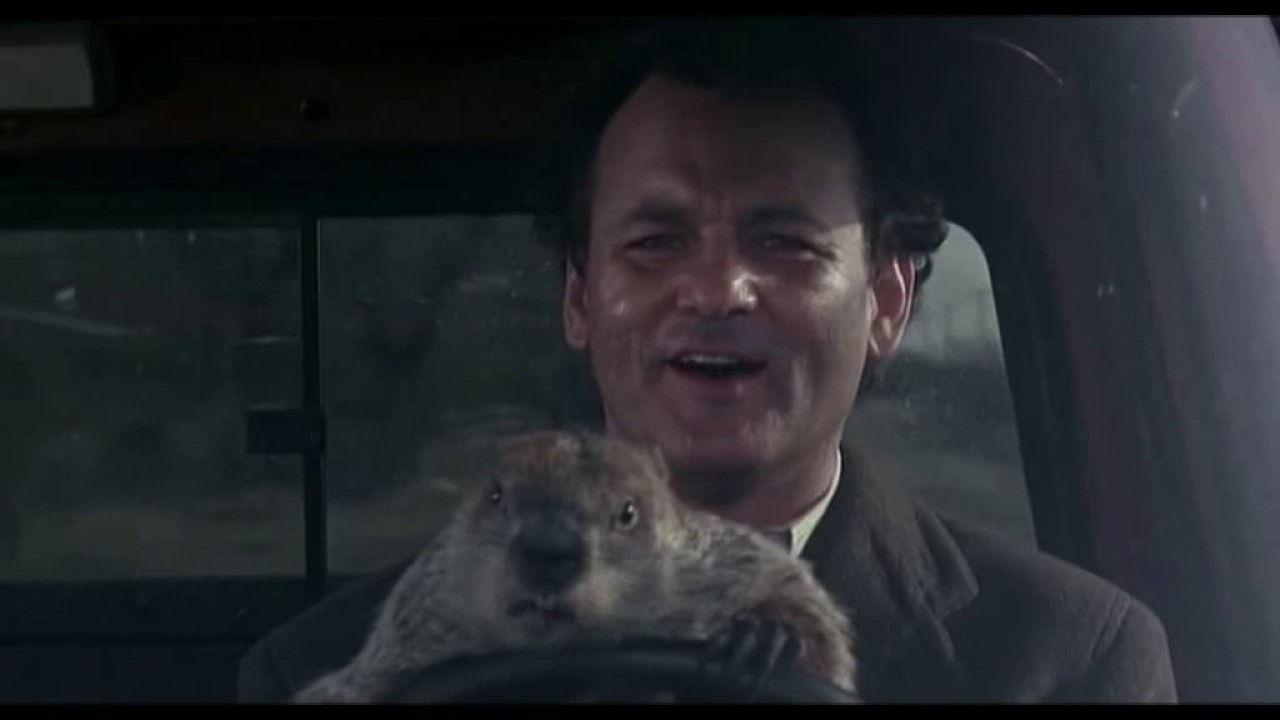 Have you ever seen a groundhog driver - YouTube