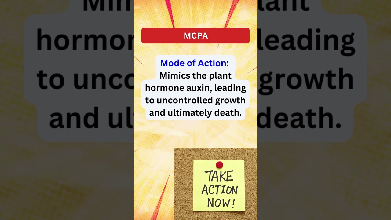 MCPA Herbicide Weedremoval