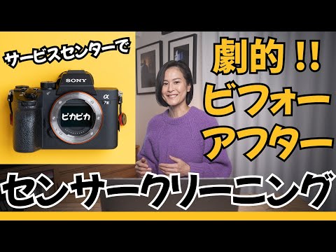 SONY α7Ⅳ ソニーストアにてセンサークリーニング済 付属品一式有 Sony α7III】ビフォー&アフター SONYサービスセンターでセンサー