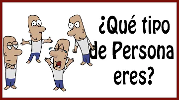 ¿Cuáles son los 4 tipos de comportamientos?