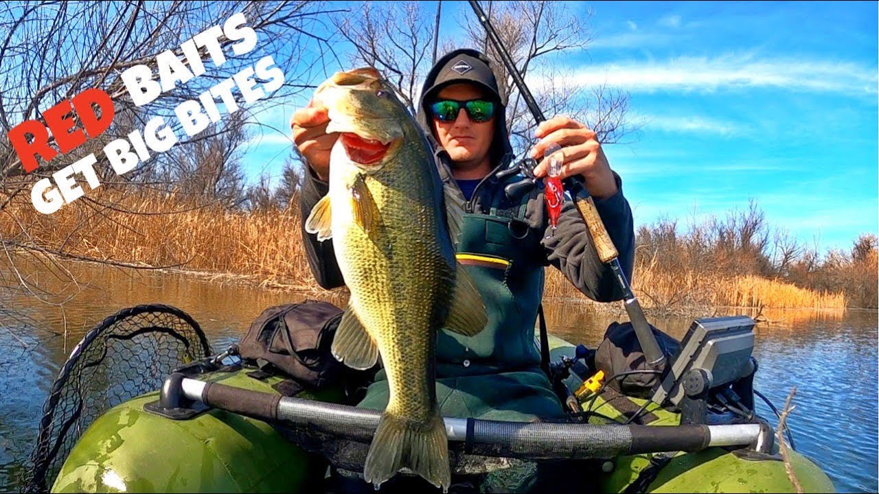 Throw Red Baits NOW (Float Tube Bass Fishing Southern California) YouTube