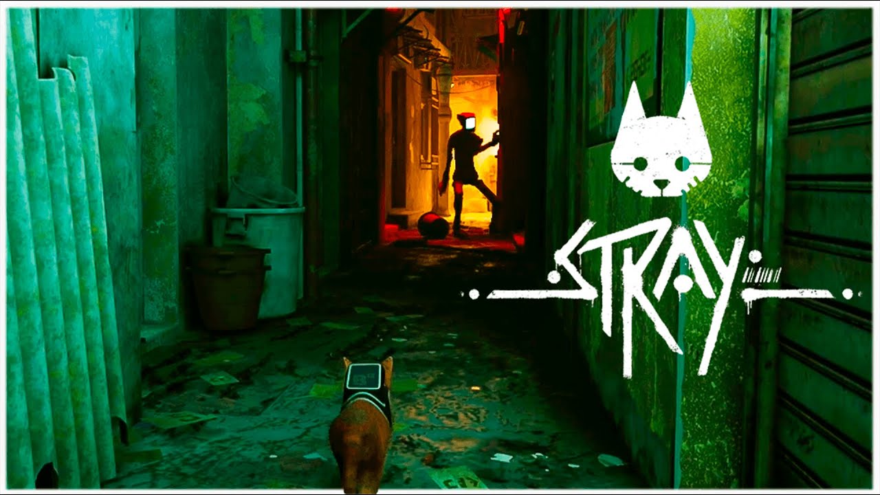 Stray: veja 6 curiosidades sobre o jogo do gato cyberpunk