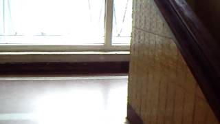 MPEG0009