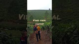 mencari video viral ciwidey @n.ranineda982