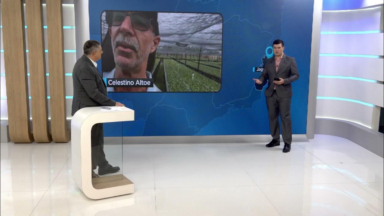 Chuvas de 100 mm atingem áreas produtoras no ES | Será Que Chove?