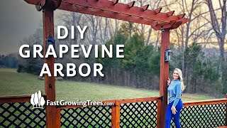 How to Build a Garden Arbor | DIY Muscadine Grapevine Arbor and Pergola