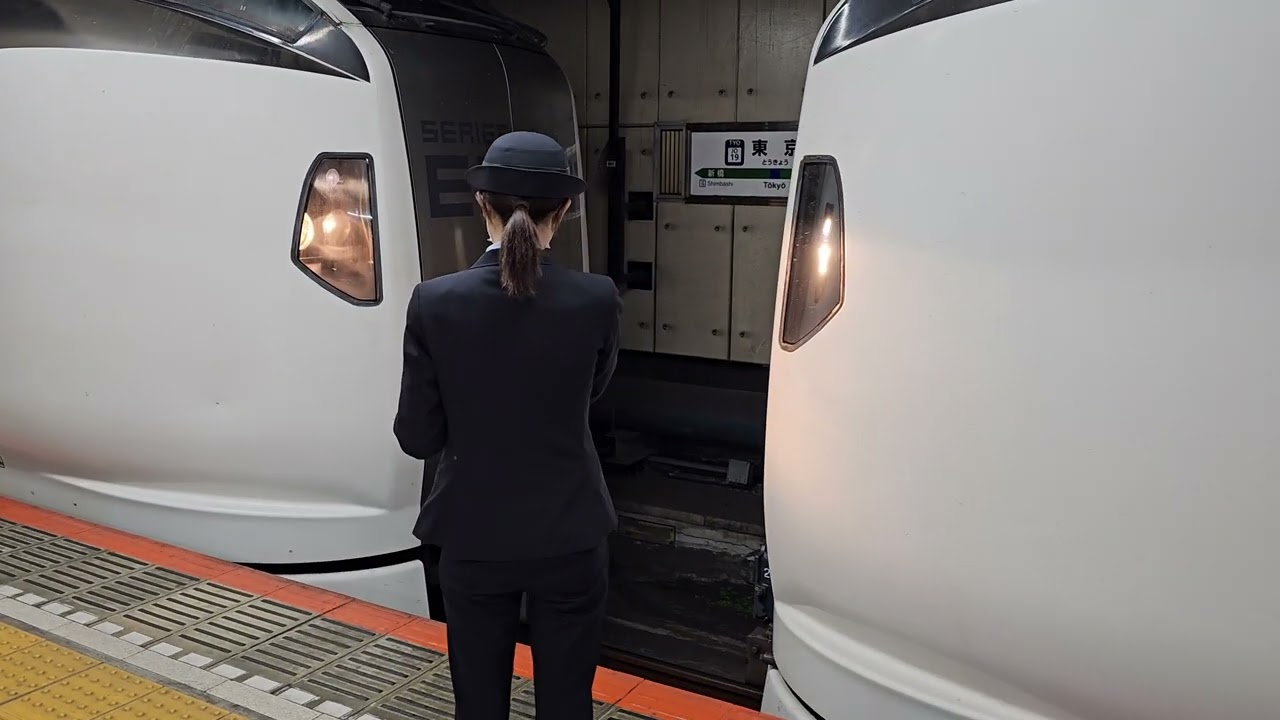 成田エクスプレス N