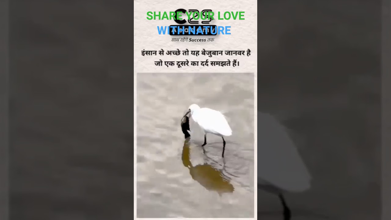 SHARE YOUR LOVE WITH NATURE.. 