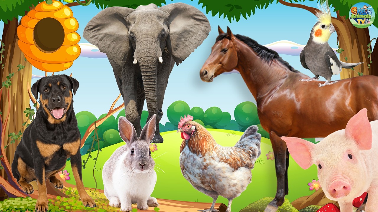 Cute Little Animals - Dog, Rabbit, Chicken, Pig, Elephant, Horse - Animal Sounds