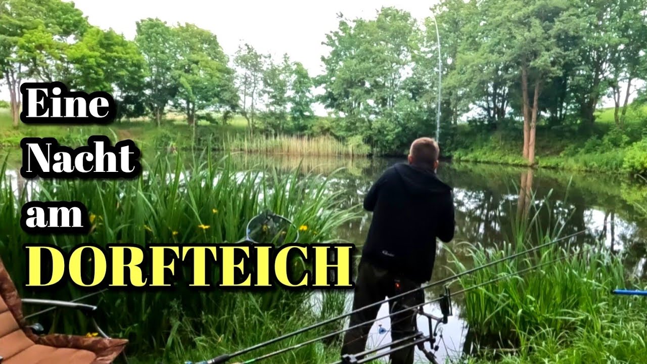 Erfolgreich Angeln am Dorfteich auf Schleie, Karpfen und Aal.  Allround angeln im Juni 2025