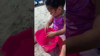 IMG 3803