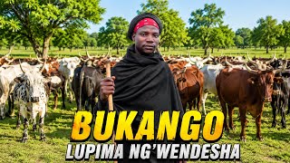 LUPIMA NG`WENDESHA_BHUKANGO KWA JIDENDEI=MBASHA STUDIO 2026