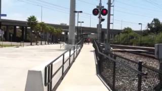 Cabcar #6905 leads Amtrak thru Sorrento Valley 7/4/13