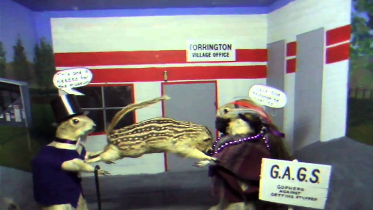 Torrington Gopher Hole Museum Youtube