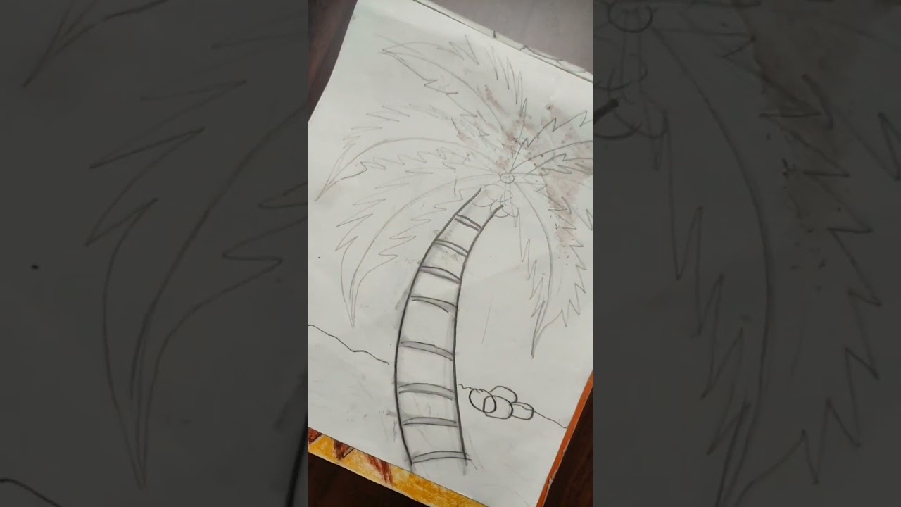 coconut tree sketch with pencil shading