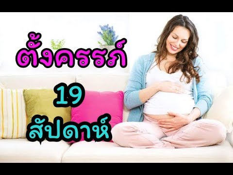 วีดีโอ: การตั้งครรภ์ 19 สัปดาห์: ความรู้สึก พัฒนาการของทารกในครรภ์