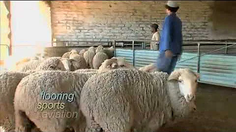 WOOL - A film by the International Wool Textile Organisation (IWTO)