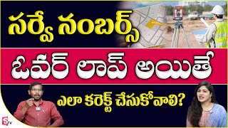 Land Survey Number Overlapping Details in Telugu | RNR RAMESH | SumanTV Money