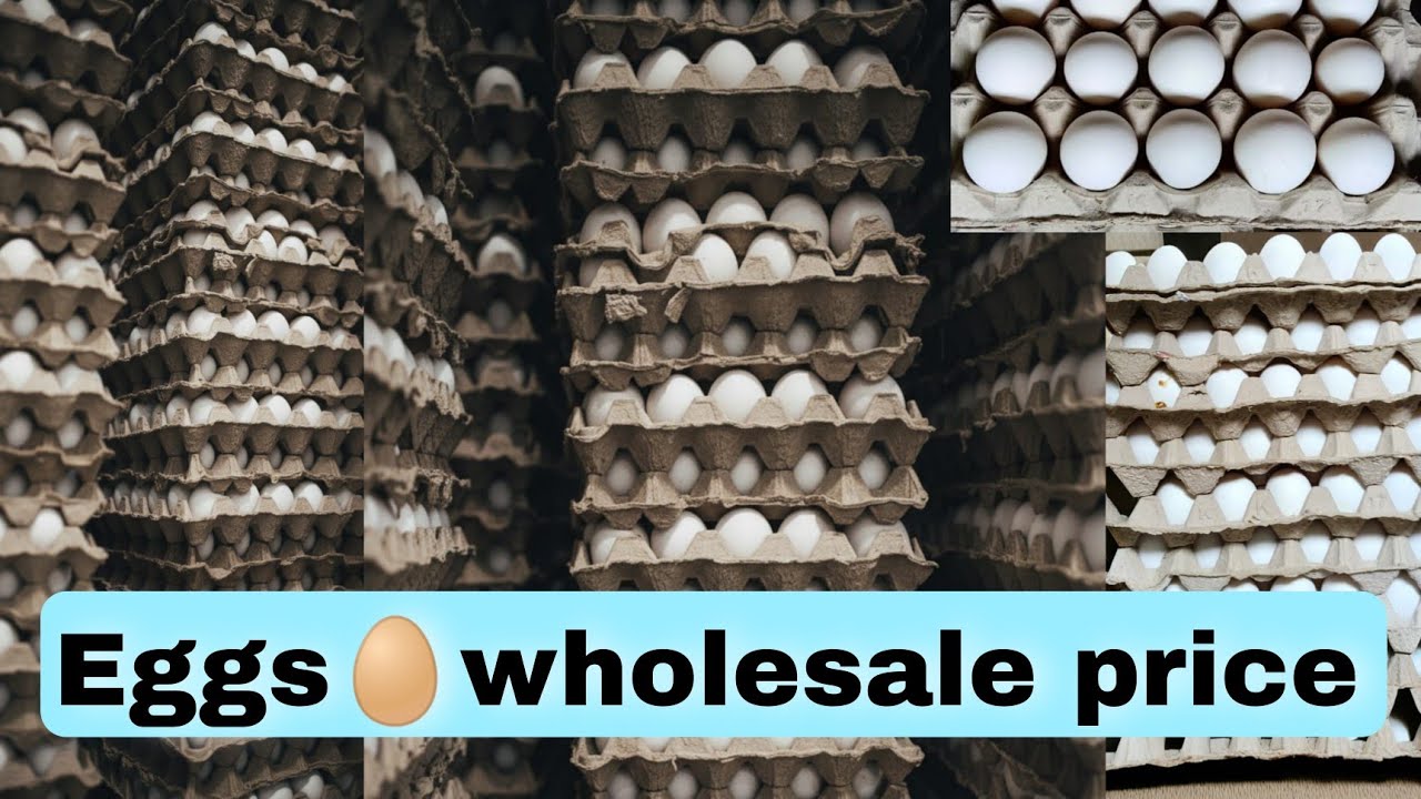 Eggs WHOLESALE PRICE  EGGS  होलसेल रेट में अंडे current egg price in india @gyanfunction 