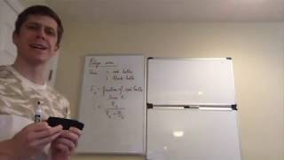 Yule processes, Polya urn, de Finetti's theorem (Lecture 8)