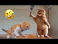 Hysterical Dog and Cat Adventures That’ll Crack You Up 😹😊𝐅𝐮𝐧𝐧𝐢𝐞𝐬𝐭 𝐃𝐨𝐠𝐬 𝐚𝐧𝐝 𝐂𝐚𝐭𝐬 𝟐𝟎𝟐𝟒😛