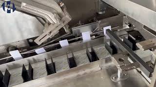 How Automatic Cartoning Machine Packs Blister & Leaflet Wenzhou Trustar Machinery Technology Co.,Ltd