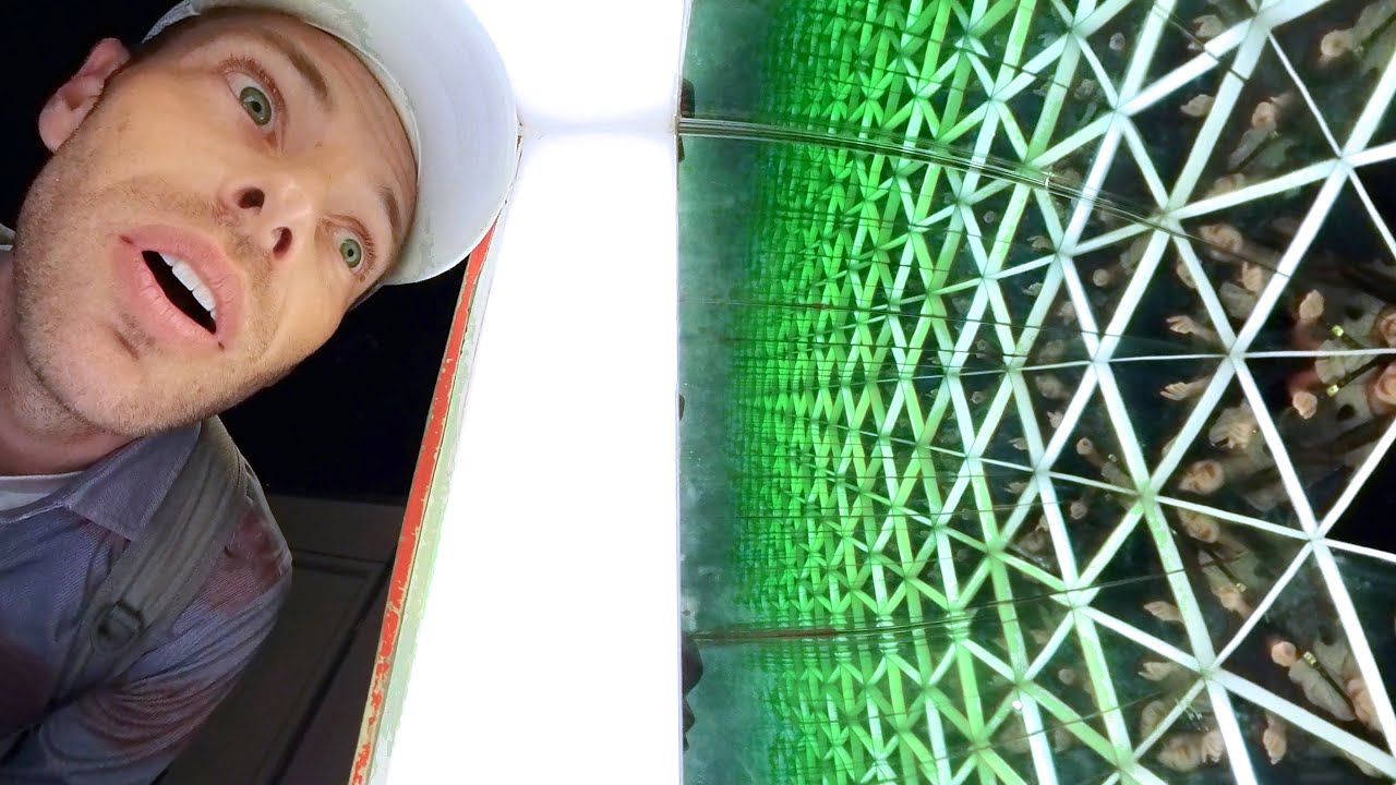 Гонконгский научный музей 🇭🇰 | Сегодня мне 10 лет, лол (Эпизод 11)