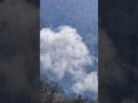 【梅レポ】 おたりの日常 vol.51