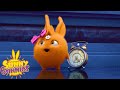 SUNNY BUNNIES - Pink Ribbon | Season 2 | Cartoons for Children