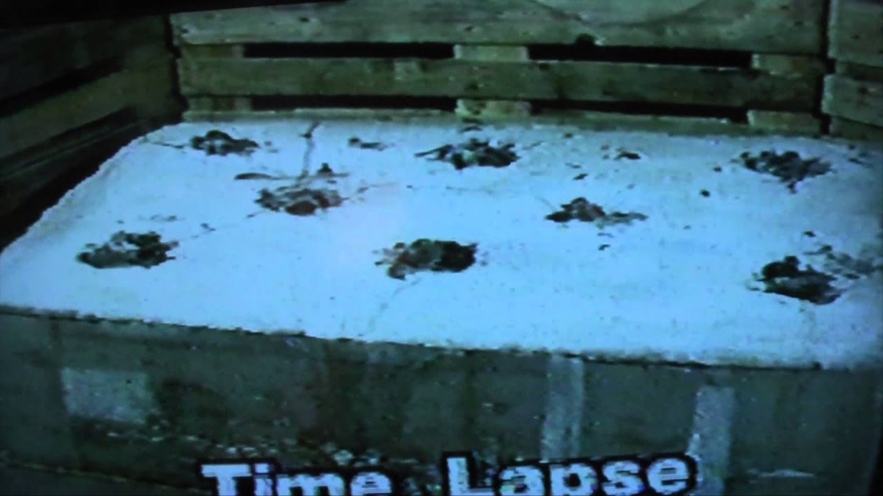 Betonamit Rock and concrete demo system