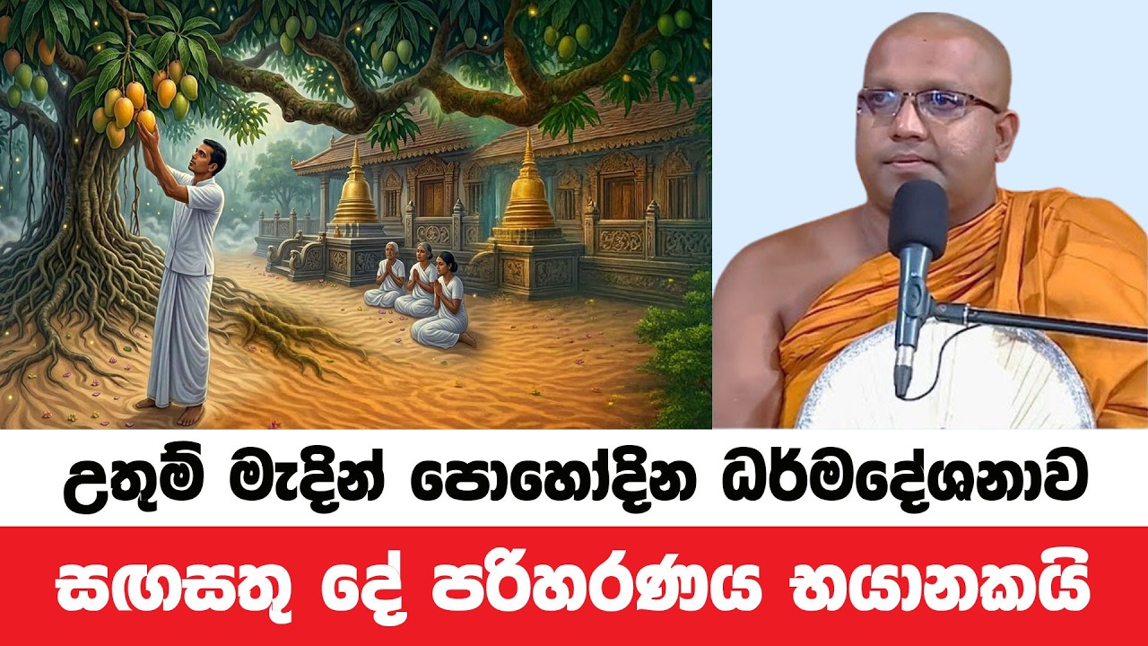 උතුම් මැදින් පුන් පොහෝදින ධර්ම දේශනාව | Kelaniye Sasanawansa Thero | Dharmadeshana 227
