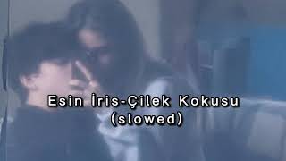 Esin İris-Çilek Kokusu (slowed) Resimi