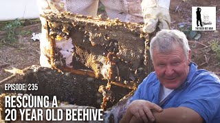 Honey Bee Hive Removal: Honey Bee Rescue & Relocation to Clean Hives | The Bush Bee Man