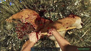 Subsistence ep. 4 - Cançando cougar e alçe.