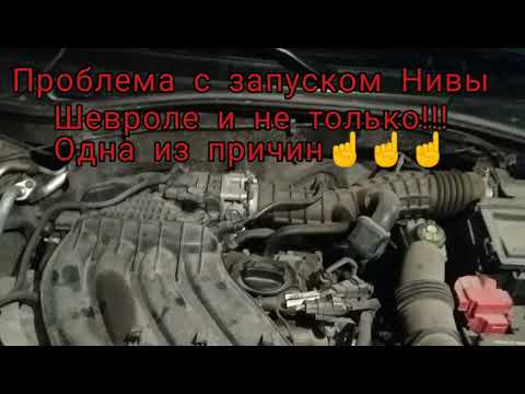 Не заводится Нива