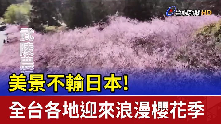 美景不输日本！全台各地迎来浪漫樱花季 - 天天要闻
