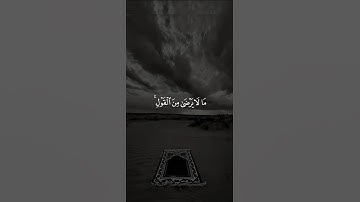 اكتب شيء تؤجر عليه 🤎🎧 #القارئ ياسر الدوسري