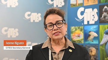 World Migratory Bird Day 2025: Message from CITES Secretary-General Ivonne Higuero