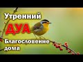 Утренний дуа Дуа каждое утро